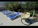 Appartamenti Olive Garden - swimming pool: A1(4), A2(4), A3(4), SA4(2), SA5(2) Biograd - Riviera Biograd  - il giardino