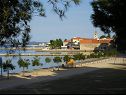 Appartamenti Renato - 150 m from beach: A1(2+2), A2(2+2) Sveti Filip i Jakov - Riviera Biograd  - la spiaggia