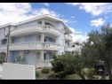 Appartamenti Vese - 100 m from beach: A1(2+2), A2(2+2), A3(5+3), A4(2+2) Sveti Petar - Riviera Biograd  - la casa