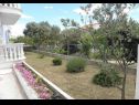 Appartamenti Vese - 100 m from beach: A1(2+2), A2(2+2), A3(5+3), A4(2+2) Sveti Petar - Riviera Biograd  - il giardino