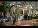 Appartamenti Ivo - relaxing & comfortable: A1(4+1) Vrgada (Isola di Vrgada) - Riviera Biograd  - la casa