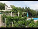 Casa vacanza Ivo - house with pool: H(4+1) Bol - Isola di Brac  - Croazia - il giardino