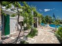 Casa vacanza Ivo - house with pool: H(4+1) Bol - Isola di Brac  - Croazia - il cortile