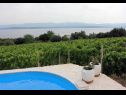 Casa vacanza Ivo - house with pool: H(4+1) Bol - Isola di Brac  - Croazia - lo sguardo