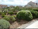 Appartamenti Ivy - modern with terrace: A1 Tulipan(2), A2 Mak(2+2), A3 Tratincica(2+2) Bol - Isola di Brac  - il verde