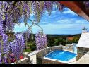 Casa vacanza Mari 1 - with pool: H(6+1) Donji Humac - Isola di Brac  - Croazia - lo sguardo