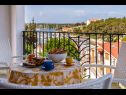 Casa vacanza Mila - private pool & seaview: H(8) Milna (Brac) - Isola di Brac  - Croazia - H(8): lo sguardo dalla terrazza