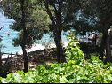 Appartamenti Simi- peacefull and seaview A1(4+1) Baia Osibova (Milna) - Isola di Brac  - Croazia - lo sguardo sul mare (casa e dintorni)