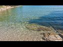 Appartamenti Deni - 70m from beach: A1(4+1) Baia Osibova (Milna) - Isola di Brac  - Croazia - la spiaggia