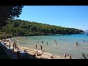 Appartamenti Miljana - 40 m from beach: A1(4+1) Postira - Isola di Brac  - la spiaggia