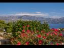 Appartamenti Pavlo - beautiful sea view: A1(4) Postira - Isola di Brac  - il giardino