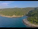 Casa vacanza Irena - secluded paradise; H(4+1) Baia Prapatna (Pucisca) - Isola di Brac  - Croazia - la vegetazione (casa e dintorni)