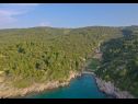 Casa vacanza Irena - secluded paradise; H(4+1) Baia Prapatna (Pucisca) - Isola di Brac  - Croazia - la vegetazione