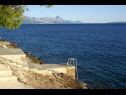 Appartamenti e camere Ref - 20 m from sea : 1 - A1(4+1), 2 - A2(2+1), 3 - R1(2), 4 - R2(2) Baia Puntinak (Selca) - Isola di Brac  - Croazia - la spiaggia