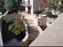 Appartamenti e camere Ref - 20 m from sea : 1 - A1(4+1), 2 - A2(2+1), 3 - R1(2), 4 - R2(2) Baia Puntinak (Selca) - Isola di Brac  - Croazia - il giardino