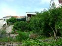 Appartamenti Kat - 80 m from beach: A1(6), A2(2) Splitska - Isola di Brac  - il giardino