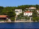Appartamenti Mari - 30 m from sea : A1(6) Sumartin - Isola di Brac  - la casa
