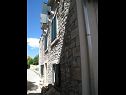 Appartamenti Andro - 30 m from sea: A1(2) Supetar - Isola di Brac  - la casa