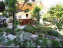 Appartamenti Ana - 50m from Sea: A3(4+1) Supetar - Isola di Brac  - il giardino (casa e dintorni)