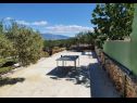 Casa vacanza Mario - with pool & sea view: H(4+2) Supetar - Isola di Brac  - Croazia - il cortile