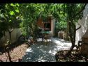 Appartamenti Brti - 250 m from beach: A1 PLAVI(2), A2 SMEĐI(2) Supetar - Isola di Brac  - il giardino (casa e dintorni)