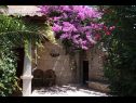 Casa vacanza Davor - relaxing and great location house : H(7+2) Sutivan - Isola di Brac  - Croazia - la casa