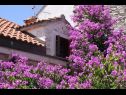 Casa vacanza Davor - relaxing and great location house : H(7+2) Sutivan - Isola di Brac  - Croazia - la casa