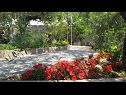 Appartamenti Ljuba - nice garden: A2(4+1) Plavi, A4(8+1), A1(2+2) Okrug Gornji - Isola di Ciovo  - la piantata dei fiori (casa e dintorni)