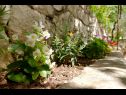 Appartamenti Milena - beautiful & close to the beach: A1(5) Okrug Gornji - Isola di Ciovo  - il giardino
