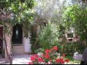 Appartamenti Doria - 20m from beach: A1 Grego(4), A3 Doric(4), A4 Teuta(2+2) Okrug Gornji - Isola di Ciovo  - il giardino