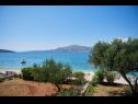 Appartamenti Natali - 5 M from the beach : A6(4+1) Okrug Gornji - Isola di Ciovo  - il giardino