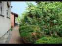 Camere Branka - colorful: R1(2), R2(1) Krizevci - Croazia continentale - il giardino