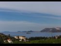 Appartamenti Ante - with pool: A1(6+2), SA2(2), A3(2+2), SA4(2) Cavtat - Riviera Dubrovnik  - la vegetazione