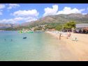 Appartamenti Antea - private parking & garden: A1(4) Cilipi - Riviera Dubrovnik  - la spiaggia