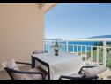 Appartamenti Ljuba - in center & close to the beach: A1(2+2), A2(2+2), A3(2+2), A4(2+2) Duba - Riviera Dubrovnik  - Appartamento - A3(2+2): la terrazza