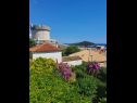 Camere Garden - with a view: R1(2) Dubrovnik - Riviera Dubrovnik  - lo sguardo (casa e dintorni)