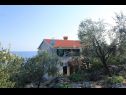 Appartamenti Iva - with nice view: A1(2+2) Molunat - Riviera Dubrovnik  - la casa