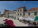Appartamenti Ivka - in center SA1(3) Opuzen - Riviera Dubrovnik  - lo sguardo (casa e dintorni)