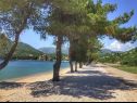 Appartamenti Leo - sea view & comfortable: A1(6) Ploce - Riviera Dubrovnik  - la spiaggia