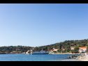 Appartamenti Marija - 50m close to the beach: A1(2+2), SA2(2+1) Zaton (Dubrovnik) - Riviera Dubrovnik  - il dettaglio (casa e dintorni)