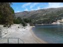 Appartamenti Marija - 50m close to the beach: A1(2+2), SA2(2+1) Zaton (Dubrovnik) - Riviera Dubrovnik  - la spiaggia