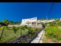 Appartamenti Gordana A1(4) Zaton (Dubrovnik) - Riviera Dubrovnik  - la casa