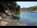 Appartamenti Ralje - 100m from the sea & free parking: A1(2+1), A2(2+1) Sali - Isola di Dugi otok  - la spiaggia