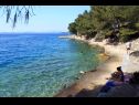Appartamenti Ralje - 100m from the sea & free parking: A1(2+1), A2(2+1) Sali - Isola di Dugi otok  - la spiaggia