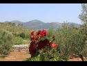 Casa vacanza Nature park - relaxing and comfortable: H(4) Telascica - Isola di Dugi otok  - Croazia - il dettaglio