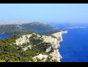 Casa vacanza Nature park - relaxing and comfortable: H(4) Telascica - Isola di Dugi otok  - Croazia - la vegetazione (casa e dintorni)