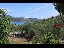 Casa vacanza Nature park - relaxing and comfortable: H(4) Telascica - Isola di Dugi otok  - Croazia - H(4): lo sguardo