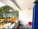 Appartamenti Goran - 30m close to the beach: A1(2+2) Verunic - Isola di Dugi otok  - Appartamento - A1(2+2): la terrazza