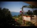 Appartamenti Ana - sea view; A1(2+1), A2(2+1), A3(4+1) Zavala - Isola di Hvar  - lo sguardo sul mare (casa e dintorni)