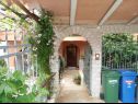 Appartamenti Mondina - sea view and garden : A1(4), A2(3+1), SA3(2) Banjole - Istria  - il cortile